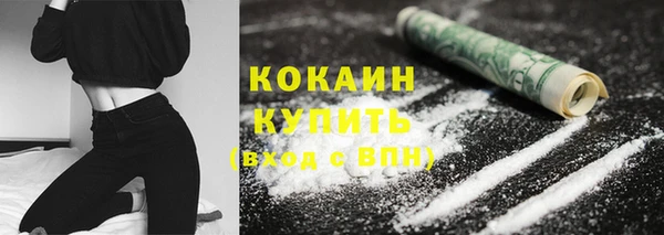 эйфоретик Пересвет
