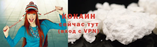 эйфоретик Пересвет