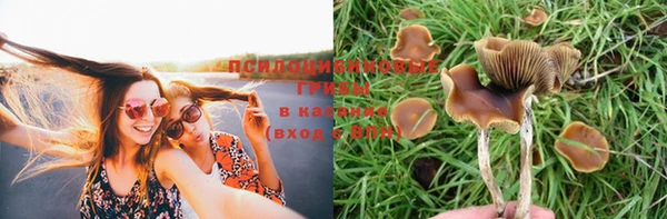 PSILOCYBIN Пестово