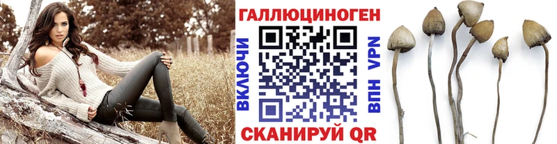 Галлюциногенные грибы MAGIC MUSHROOMS  Белогорск 