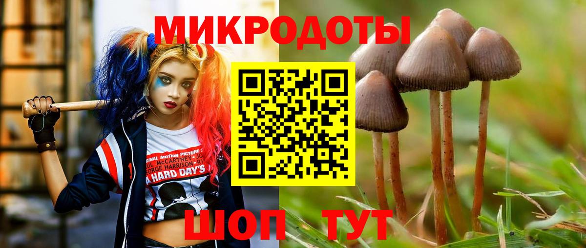 Псилоцибиновые грибы Psilocybe  Белогорск 