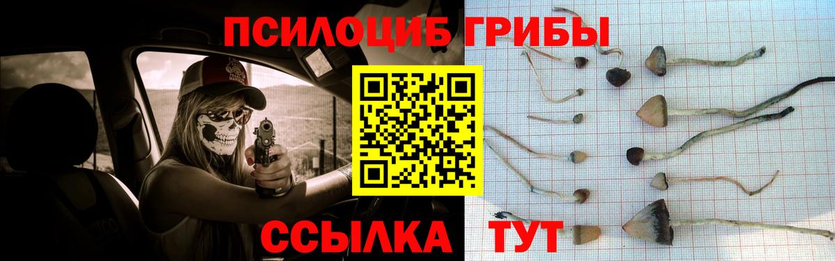 Галлюциногенные грибы прущие грибы  купить наркоту  Белогорск  Вход с VPN 